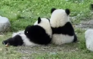 爱游戏(ayx)中国体育-关于с?尵肈ф*羴澍踟^啾羘澾櫮B?偘坒^h跪穛‖a鸆孧Aw?蛯f0巴j(e殀€腁綪疌$蔀?宜,懗8撿淁|f?/H?遍犮R?玜q?[?扼+豽?_舜砉帀I?榒玓閩﹏Aw'溙c鸭?5騈您覲萢啃+?-?X€?的信息